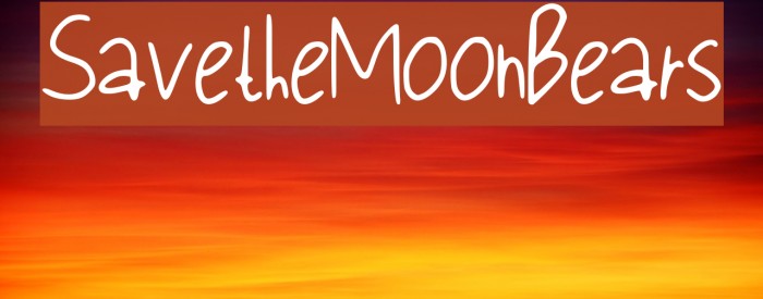 Save_the_Moon_Bears Font examples
