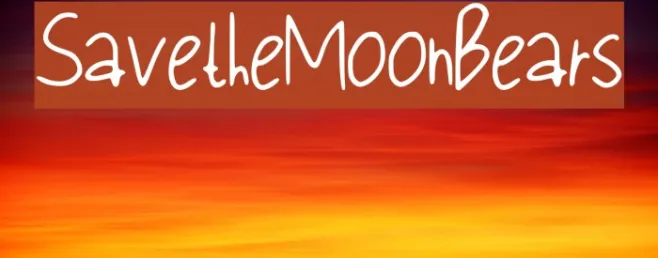 Save_the_Moon_Bears Example 1