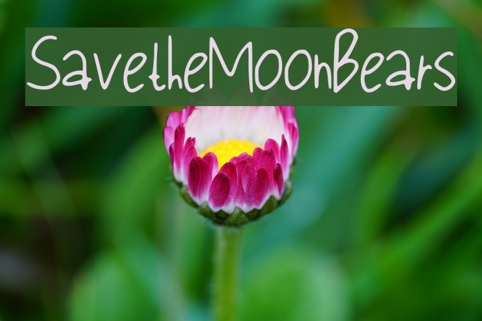 Save_the_Moon_Bears Font examples