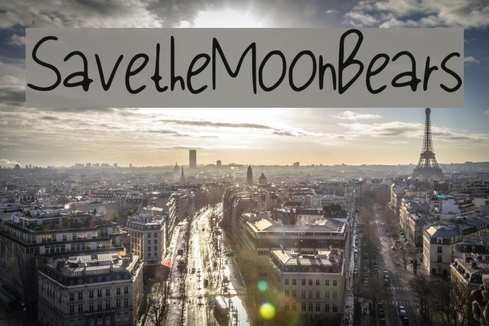 Save_the_Moon_Bears Font examples