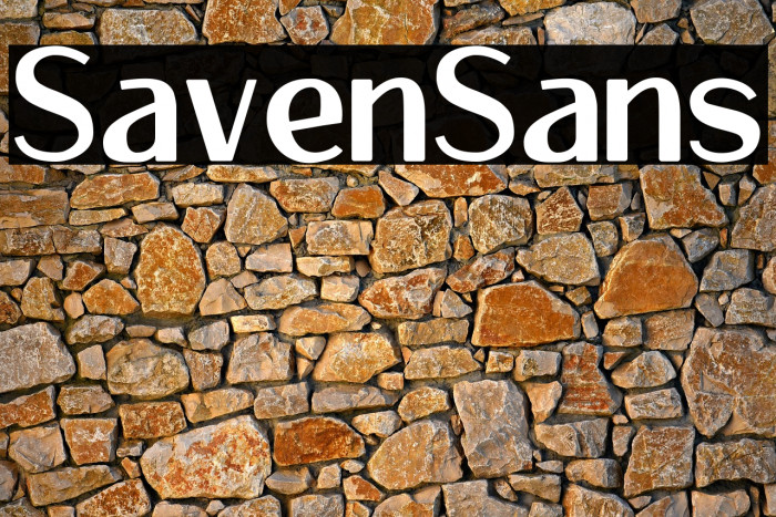 Savenir Sans Example 1