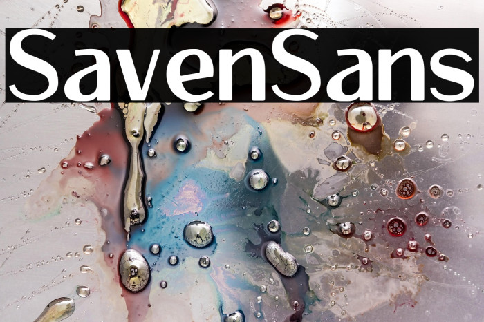 Savenir Sans Example 3