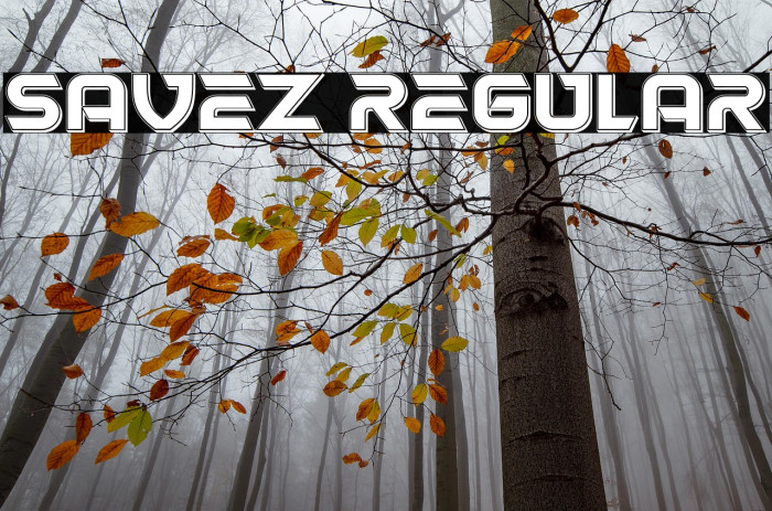 Savez Regular Example 1