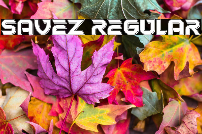 Savez Regular Example 2