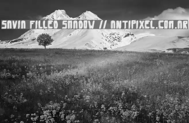 Savia Filled Shadow // ANTIPIXEL.COM.AR Font examples