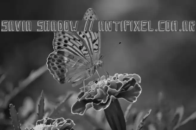 Savia Shadow // ANTIPIXEL.COM.AR Font examples