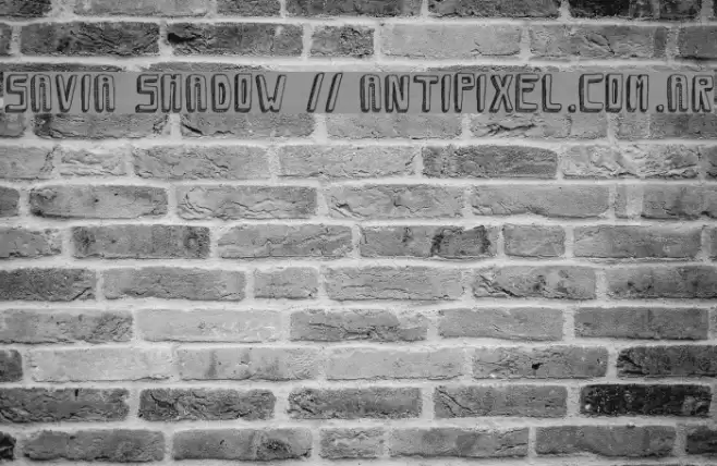 Savia Shadow // ANTIPIXEL.COM.AR Font examples