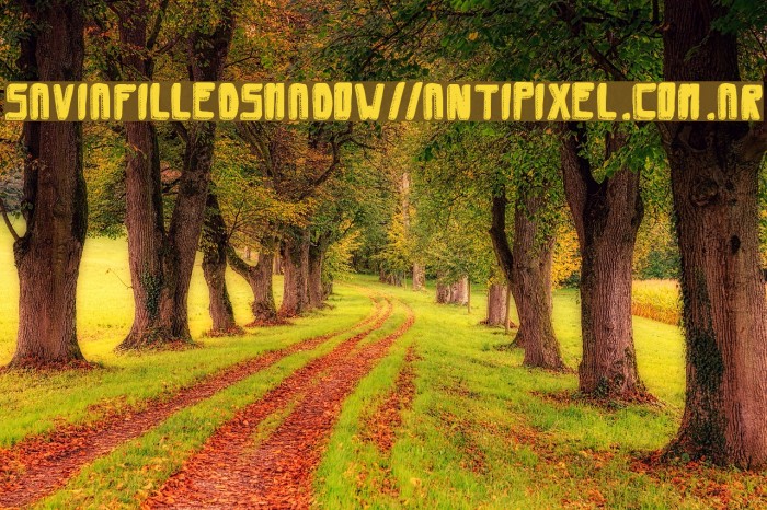SaviaFilledShadow//ANTIPIXEL.COM.AR Font examples