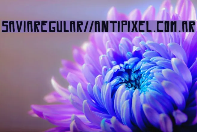 SaviaRegular//ANTIPIXEL.COM.AR Example 2