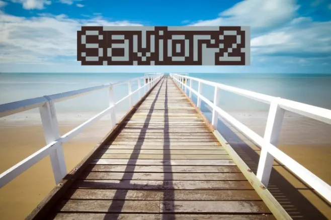 Savior2 Example 1