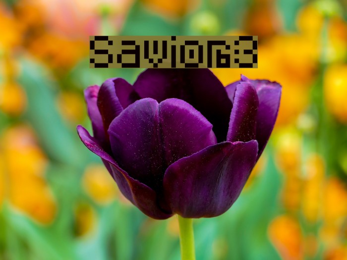 Savior3 Font examples