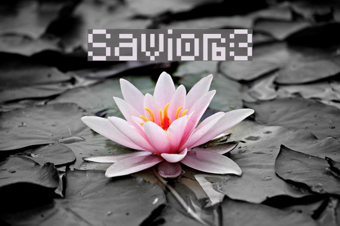 Savior3 Font examples