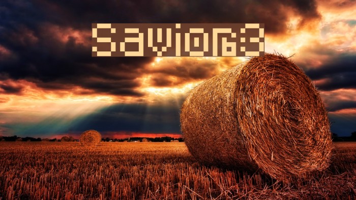 Savior3 Font examples