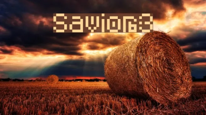 Savior3 Example 3