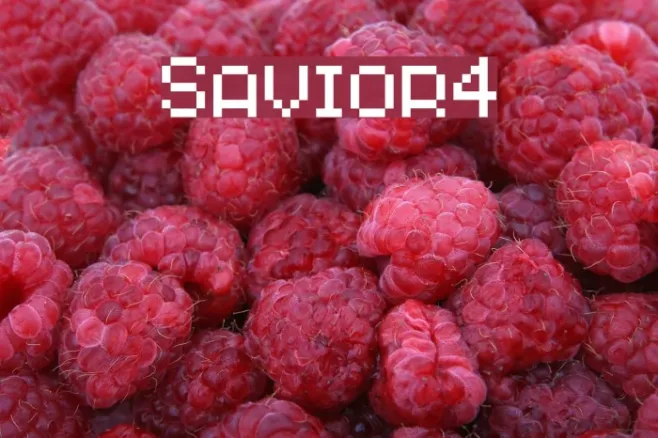 Savior4 Example 1