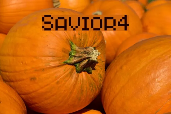 Savior4 Example 2