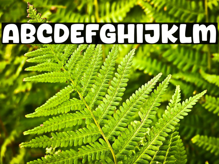 Savory Curry Example 2