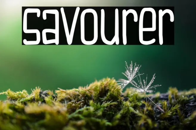 Savourer Example 3