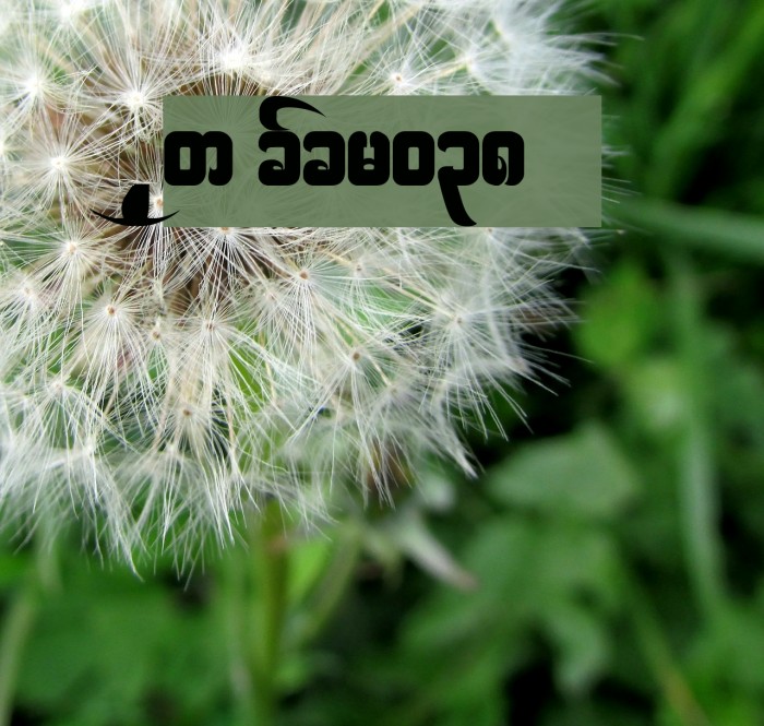 Saw cfcr038 Example 2