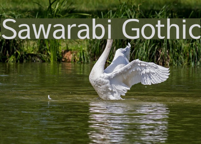 Sawarabi Gothic फ़ॉन्ट examples