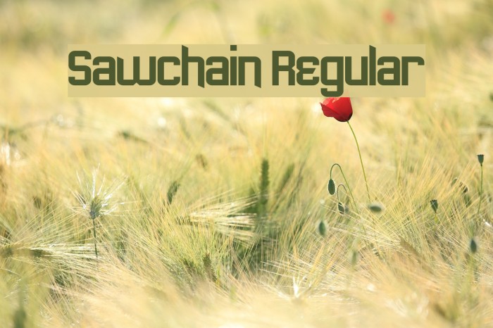 Sawchain Regular Font examples