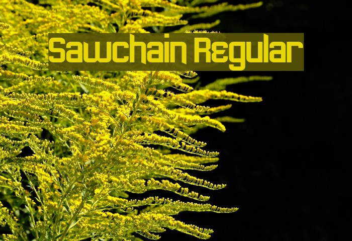 Sawchain Regular Font examples