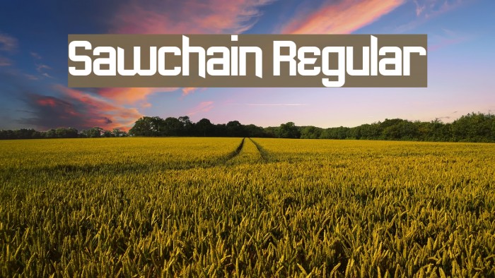 Sawchain Regular Font examples