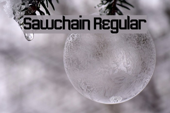 Sawchain Regular Font examples