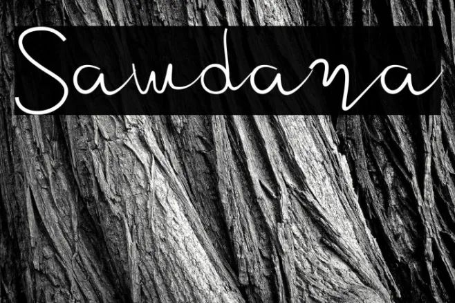 Sawdara Example 1