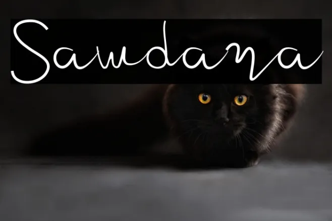 Sawdara Example 3