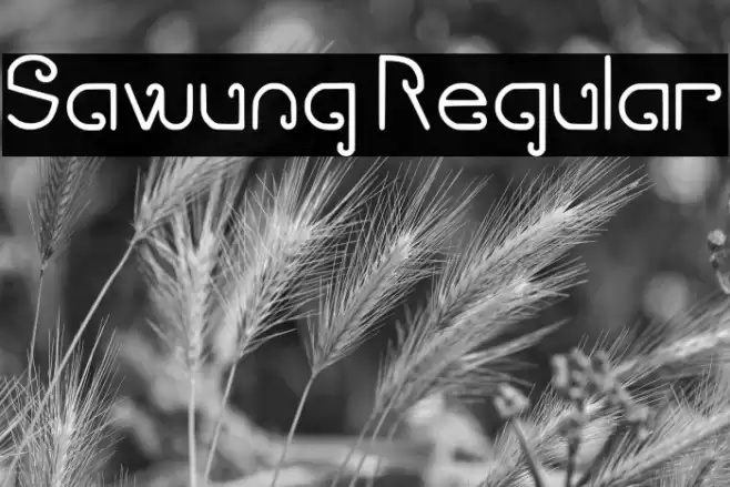 Sawung Regular Font examples