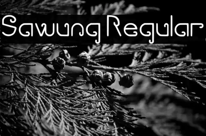 Sawung Regular Font examples