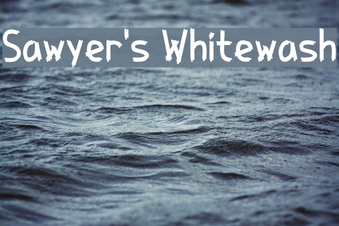 Sawyer's Whitewash Example 3