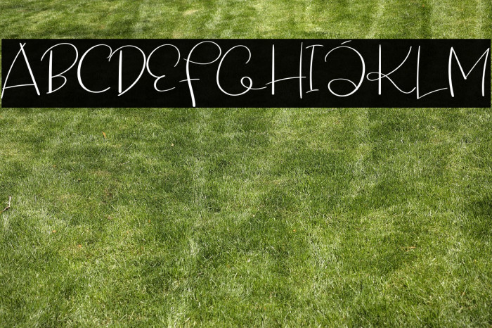 Saxophone Signature Example 3