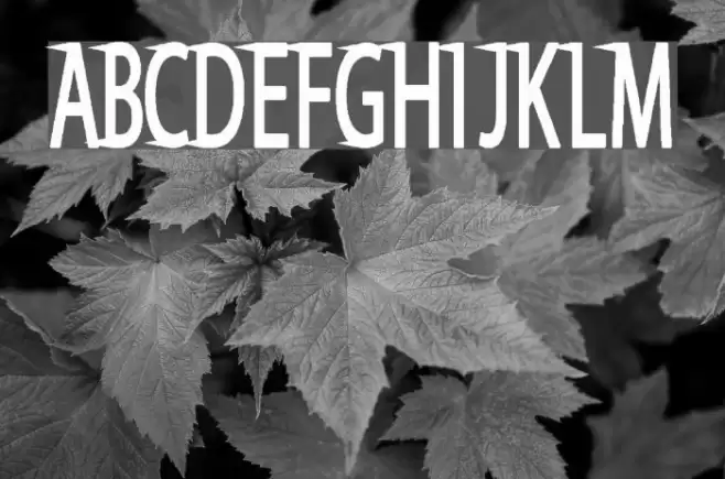 Say Divine Font examples