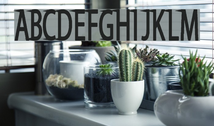 Say Divine Example 3