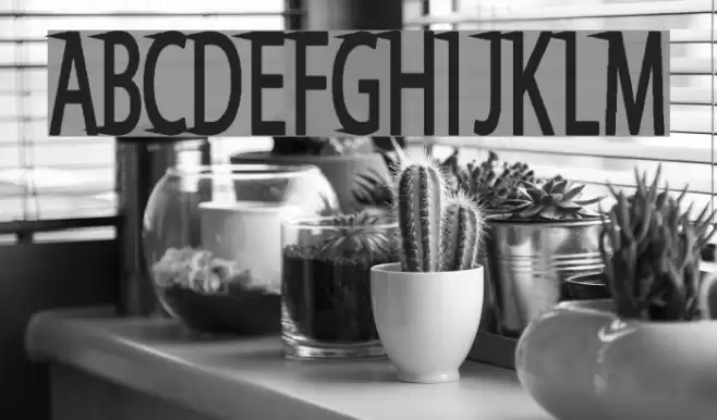 Say Divine Font examples