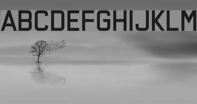 Say the Words Font examples