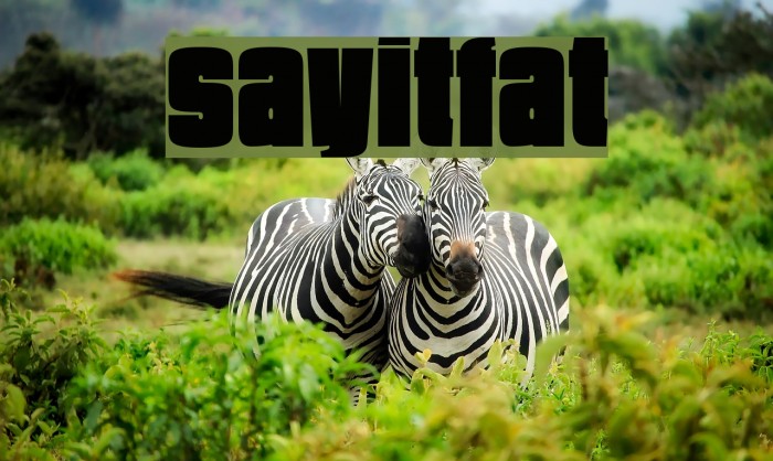SayItFat Fonte examples
