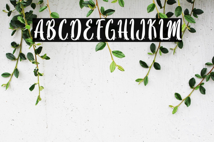 SayMooky-PersonalUse Example 1