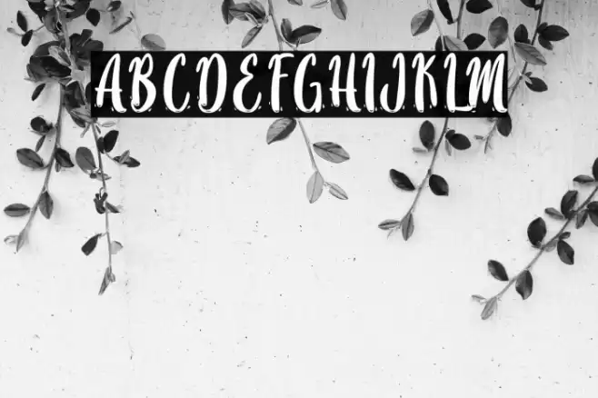 SayMooky-PersonalUse Font examples