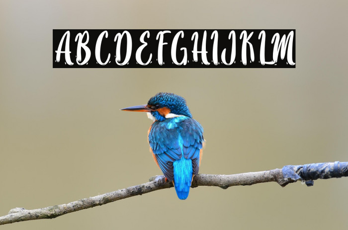 SayMooky-PersonalUse Example 3