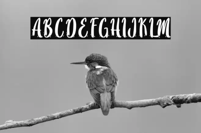 SayMooky-PersonalUse Font examples