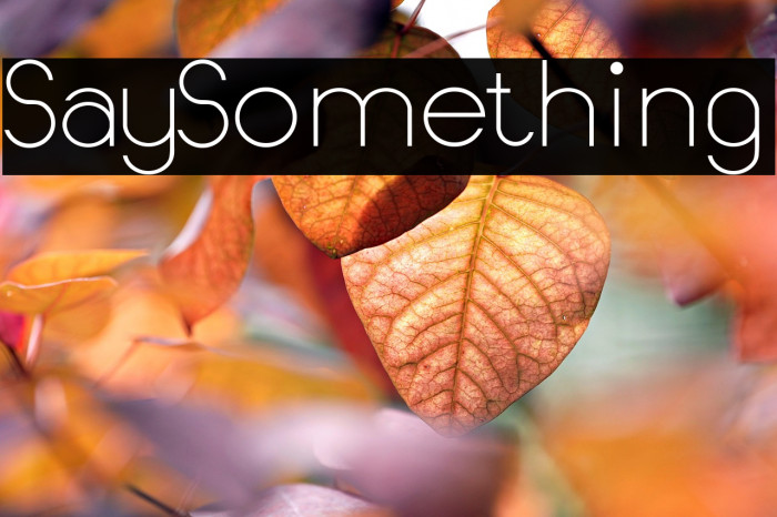 SaySomething Example 3