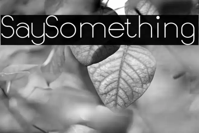 SaySomething Font examples