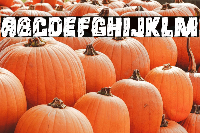 Saya Satpol Example 1