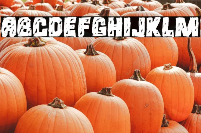 Saya Satpol Example 1