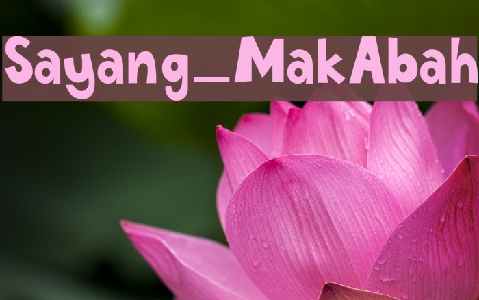 Sayang_MakAbah Example 3