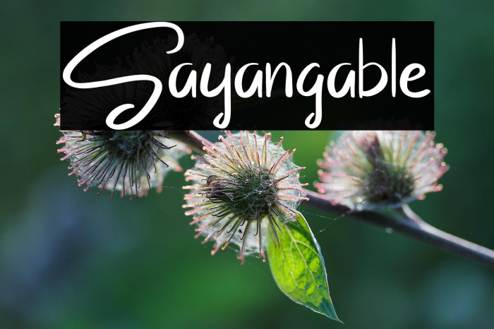 Sayangable Example 1