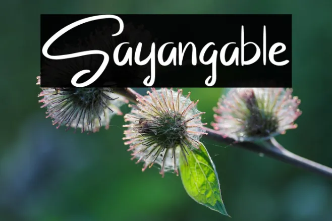 Sayangable Example 1